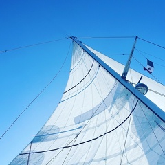 IMG-20230114-WA0021